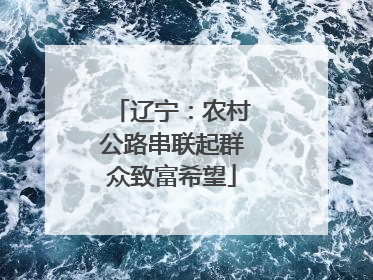 辽宁：农村公路串联起群众致富希望