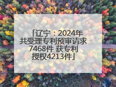 辽宁：2024年共受理专利预审请求7468件 获专利授权4213件