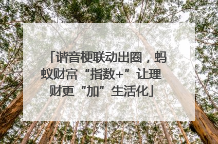 谐音梗联动出圈，蚂蚁财富“指数+”让理财更“加”生活化