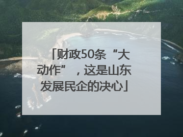 财政50条“大动作”，这是山东发展民企的决心