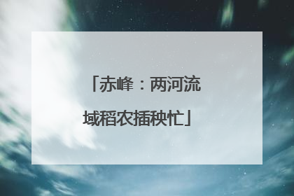 赤峰：两河流域稻农插秧忙