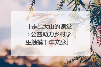 走出大山的课堂：公益助力乡村学生触摸千年文脉