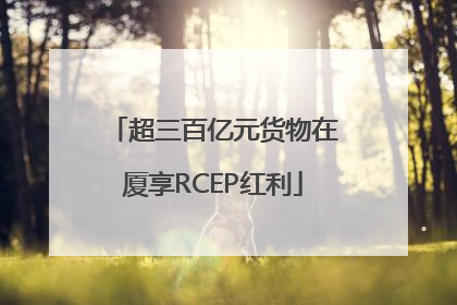 超三百亿元货物在厦享RCEP红利