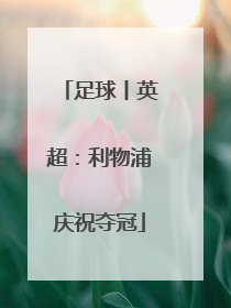 足球丨英超：利物浦庆祝夺冠