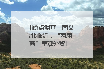 蹲点调查｜南义乌北临沂，“两扇窗”里观外贸