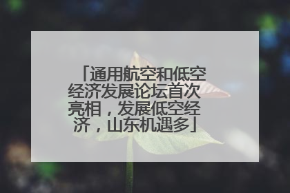 通用航空和低空经济发展论坛首次亮相，发展低空经济，山东机遇多
