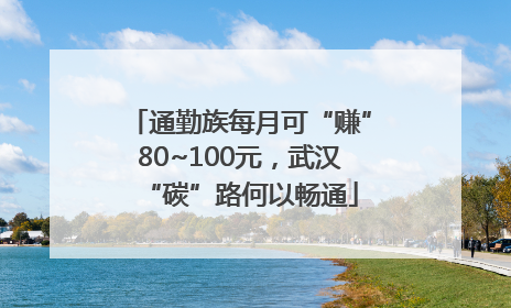 通勤族每月可“赚”80~100元，武汉“碳”路何以畅通
