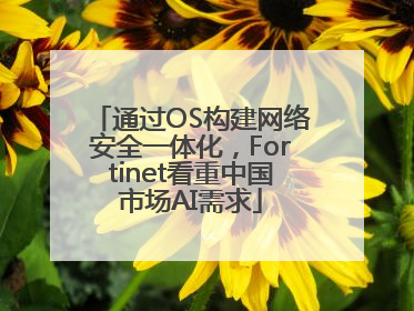 通过OS构建网络安全一体化，Fortinet看重中国市场AI需求