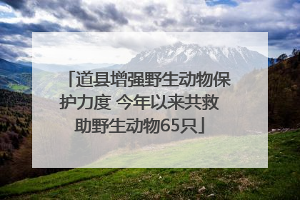 道县增强野生动物保护力度 今年以来共救助野生动物65只