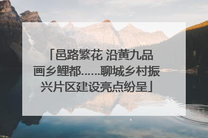 邑路繁花 沿黄九品 画乡鲤都……聊城乡村振兴片区建设亮点纷呈