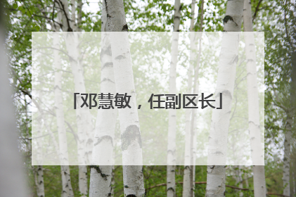邓慧敏，任副区长