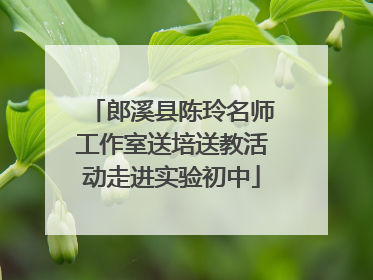 郎溪县陈玲名师工作室送培送教活动走进实验初中