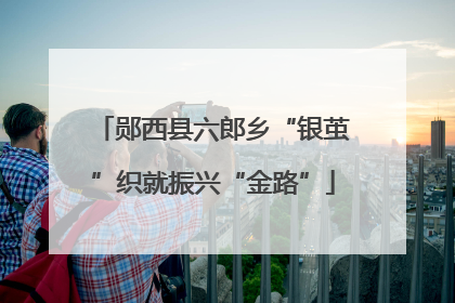 郧西县六郎乡“银茧”织就振兴“金路”