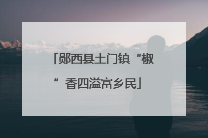 郧西县土门镇“椒”香四溢富乡民