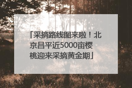 采摘路线图来啦！北京昌平近5000亩樱桃迎来采摘黄金期