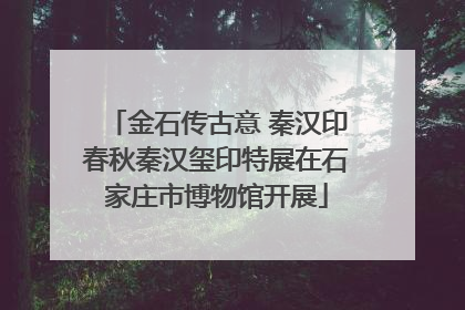 金石传古意 秦汉印春秋秦汉玺印特展在石家庄市博物馆开展