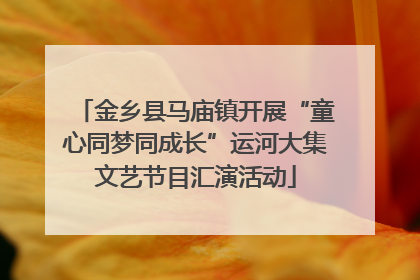 金乡县马庙镇开展“童心同梦同成长”运河大集文艺节目汇演活动