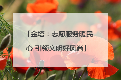 金塔：志愿服务暖民心 引领文明好风尚