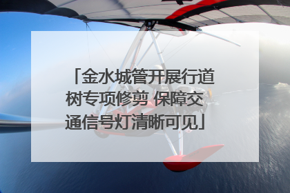 金水城管开展行道树专项修剪 保障交通信号灯清晰可见
