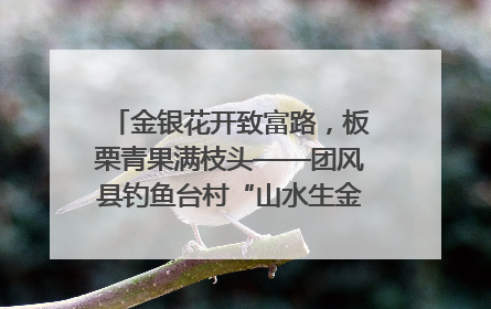 金银花开致富路，板栗青果满枝头——团风县钓鱼台村“山水生金”谱写共富新篇章