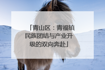 青山区：青福镇民族团结与产业升级的双向奔赴