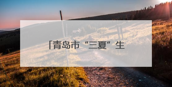 青岛市“三夏”生产现场会在西海岸新区大场镇举行