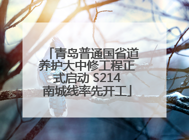 青岛普通国省道养护大中修工程正式启动 S214南城线率先开工