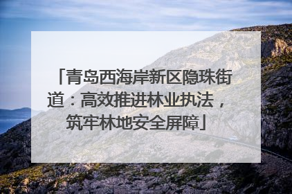 青岛西海岸新区隐珠街道：高效推进林业执法，筑牢林地安全屏障