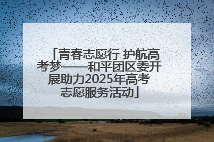 青春志愿行 护航高考梦——和平团区委开展助力2025年高考志愿服务活动