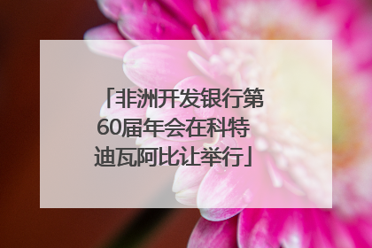 非洲开发银行第60届年会在科特迪瓦阿比让举行