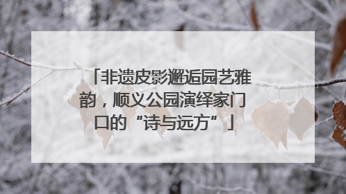 非遗皮影邂逅园艺雅韵，顺义公园演绎家门口的“诗与远方”