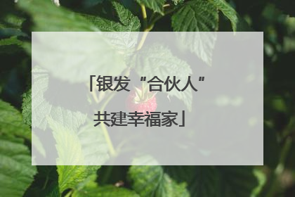 银发“合伙人” 共建幸福家