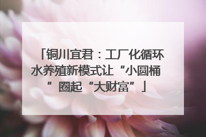 铜川宜君：工厂化循环水养殖新模式让“小圆桶”圈起“大财富”