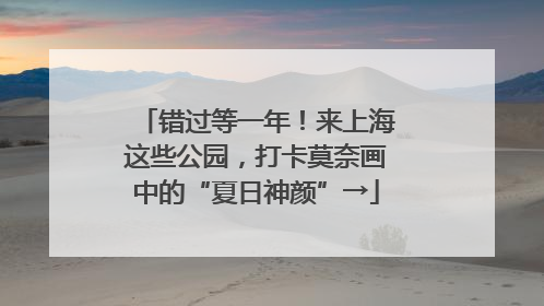 错过等一年！来上海这些公园，打卡莫奈画中的“夏日神颜”→