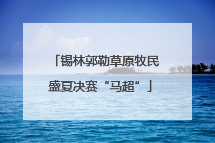 锡林郭勒草原牧民盛夏决赛“马超”