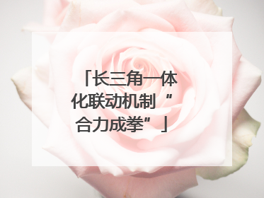 长三角一体化联动机制“合力成拳”