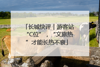 长城快评｜游客站“C位”，“文旅热”才能长热不衰