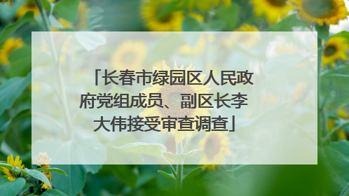 长春市绿园区人民政府党组成员、副区长李大伟接受审查调查
