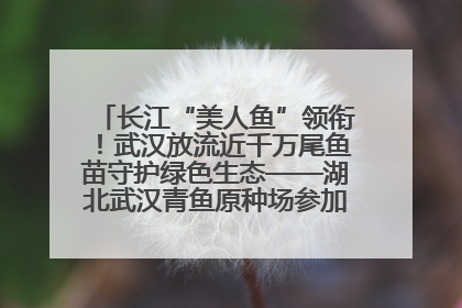 长江“美人鱼”领衔！武汉放流近千万尾鱼苗守护绿色生态——湖北武汉青鱼原种场参加2025年“全国放鱼日”增殖放流活动