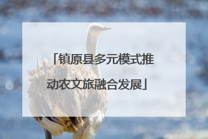 镇原县多元模式推动农文旅融合发展