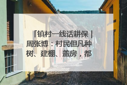 镇村一线话耕保｜周张博：村民但凡种树、建棚、盖房，都要向街道报批