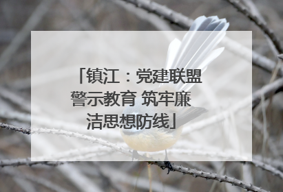 镇江：党建联盟警示教育 筑牢廉洁思想防线