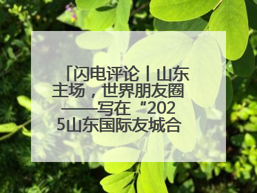 闪电评论丨山东主场，世界朋友圈——写在“2025山东国际友城合作交流周”之际
