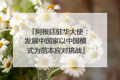 阿根廷驻华大使：发展中国家以中国模式为范本应对挑战