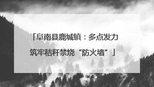 阜南县鹿城镇：多点发力 筑牢秸秆禁烧“防火墙”