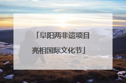 阜阳两非遗项目亮相国际文化节