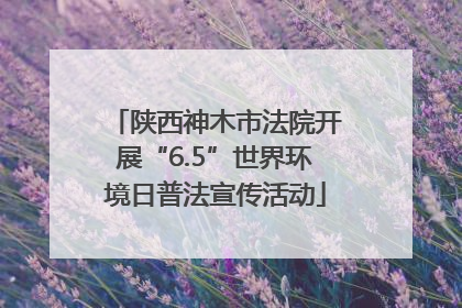 陕西神木市法院开展“6.5”世界环境日普法宣传活动
