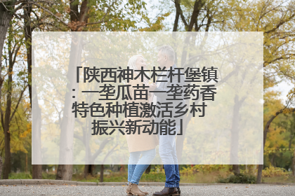 陕西神木栏杆堡镇：一垄瓜苗一垄药香 特色种植激活乡村振兴新动能