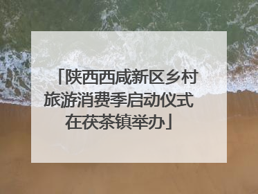 陕西西咸新区乡村旅游消费季启动仪式在茯茶镇举办