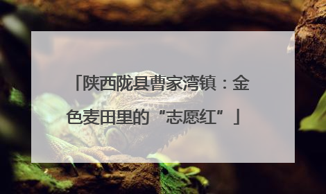 陕西陇县曹家湾镇：金色麦田里的“志愿红”